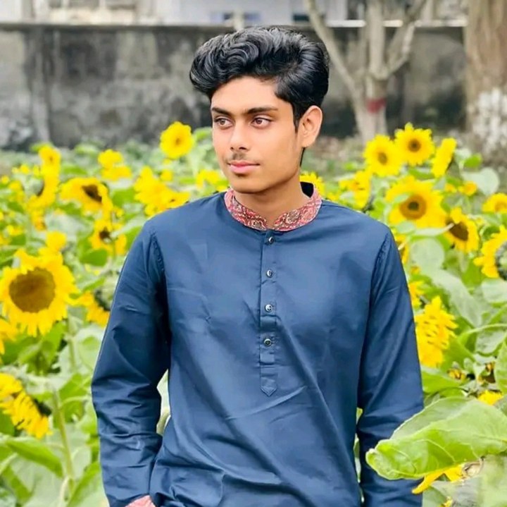 Md. Mahedi Morshed